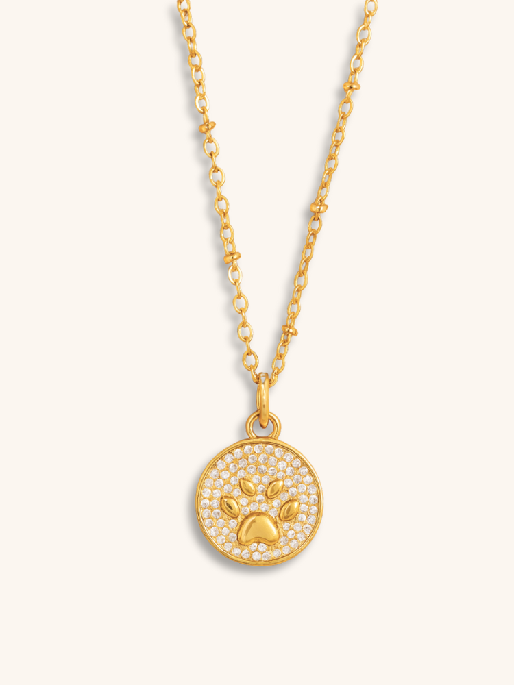 Furever Shine Pendant Necklace
