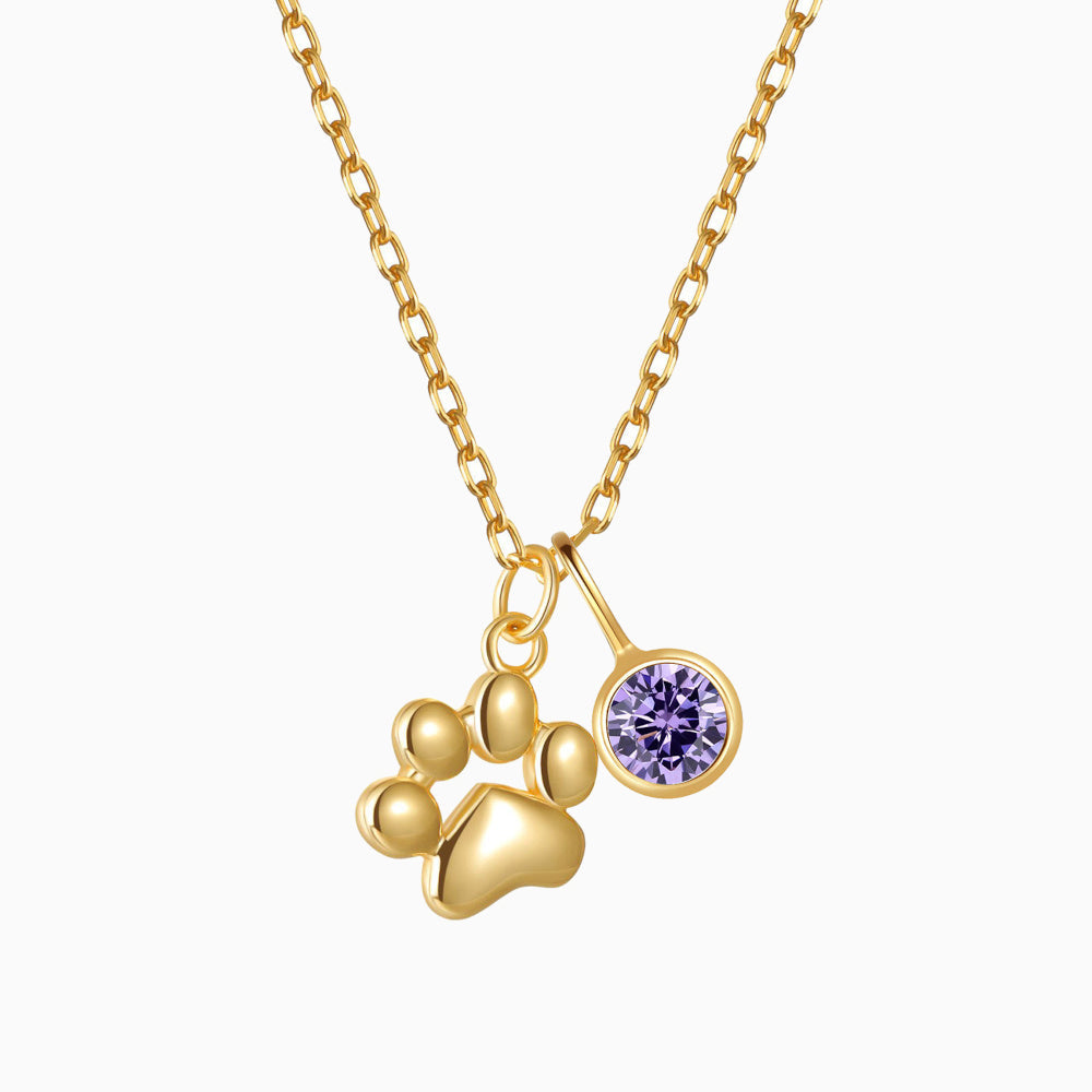 Teeny Tiny Paw Necklace with Charm VIP