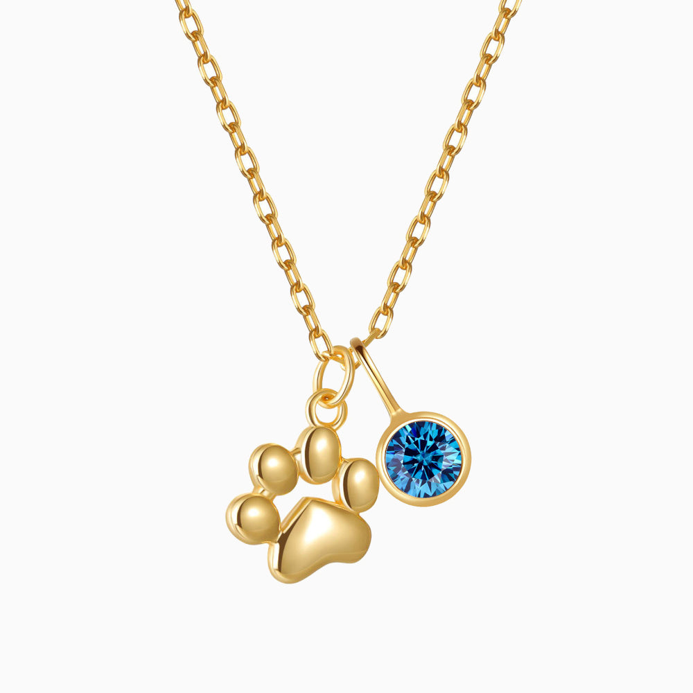 Teeny Tiny Paw Necklace with Charm VIP