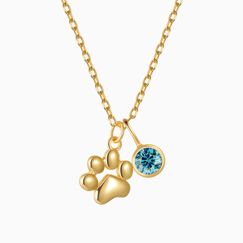 Teeny Tiny Paw Necklace with Charm VIP