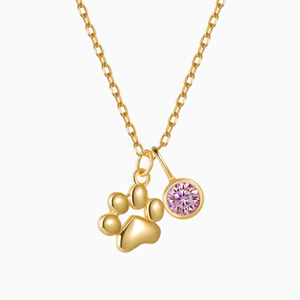 Teeny Tiny Paw Necklace with Charm VIP