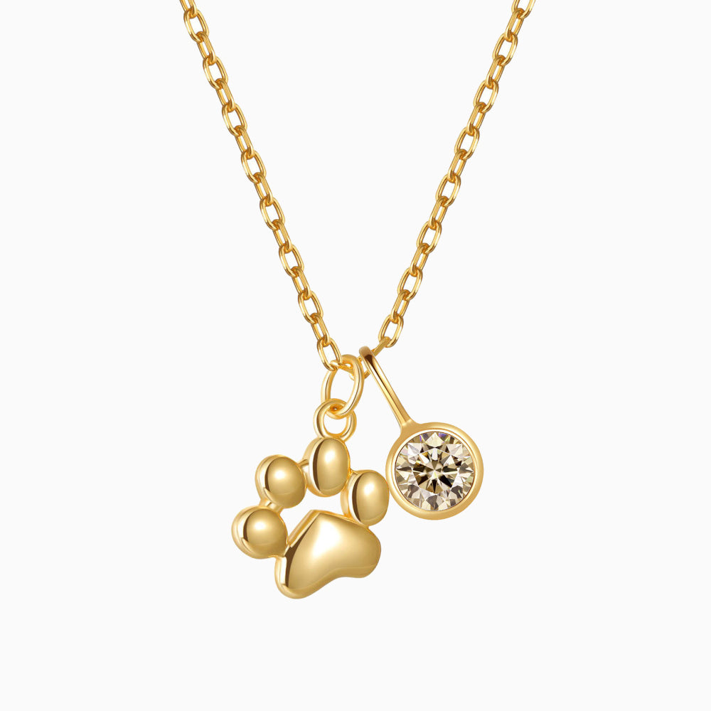 Teeny Tiny Paw Necklace with Charm VIP