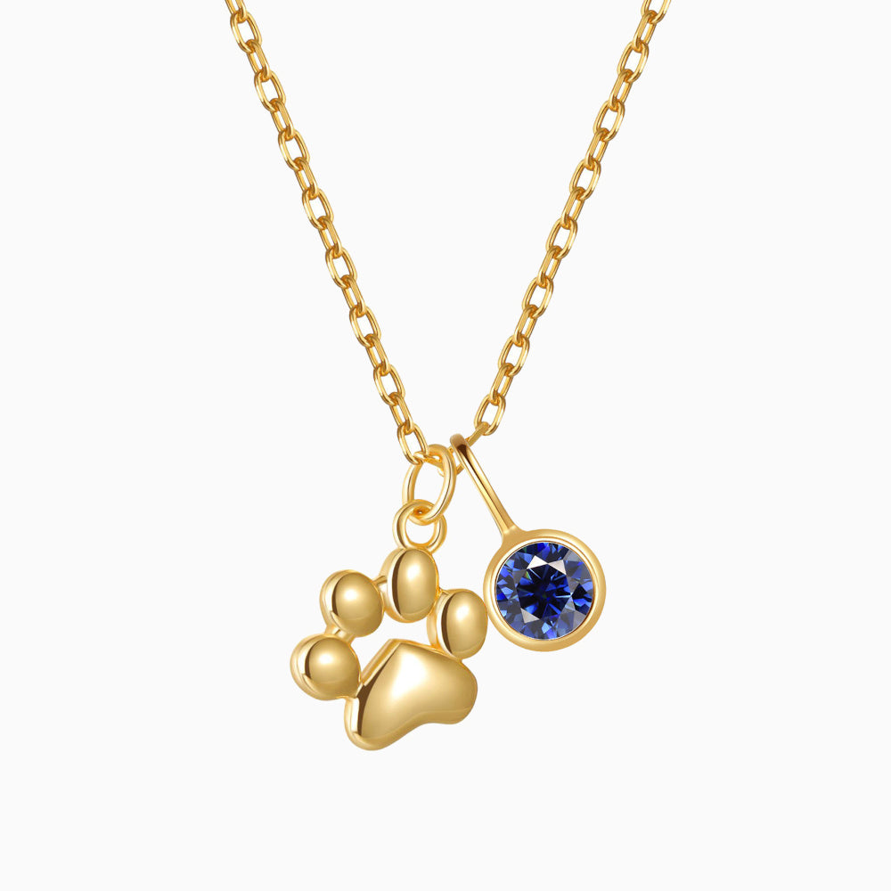Teeny Tiny Paw Necklace with Charm VIP