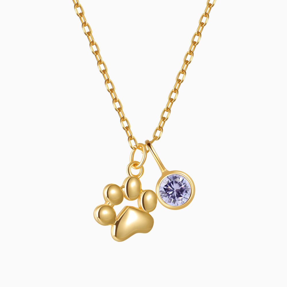 Teeny Tiny Paw Necklace with Charm VIP